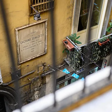 شقة Via Carlo De Cesare 15 *